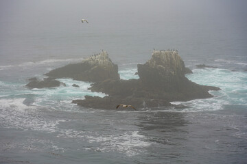 waves crashing on the rocks