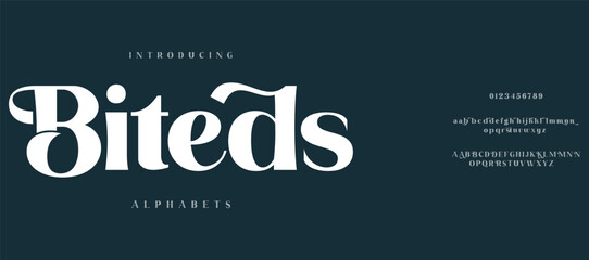 Biteds creative modern stylish calligraphy letter logo design