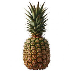 Fototapeta premium pineapple on white background