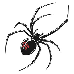spider on a white background