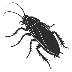 vector illustration of a black beetle