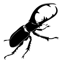 black beetle isolated on white