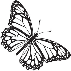 butterfly vector illustration