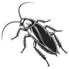vector illustration of a black beetle