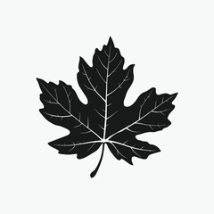 Maple autumn leaf silhouette. vector illustration