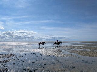 Horses in the Baie du Saint Michel