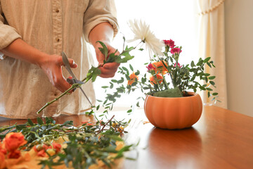 Woman cutting stem of white dahlia for flower arrangement in pumpkin