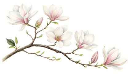 Obraz premium Elegant Watercolor Frame Border with Eucalyptus and Magnolia Blossoms in a Natural Setting
