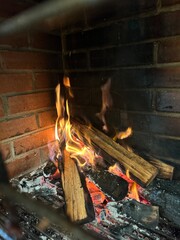 Firewood burning for barbecue grill