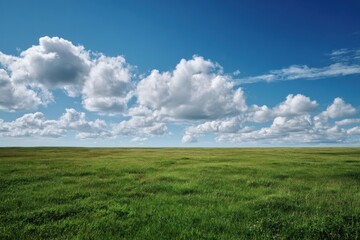 Expansive grassy plain under a vibrant blue sky dotted with fluffy white clouds