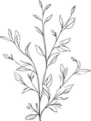 Elegant line art of black peppercorn branch with leaves, monochrome vector, minimal illustration for spice jar packaging