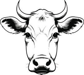 Minimal monochrome line drawing of cow head with gentle outlines, clean vector, elegant dairy product packaging illustration