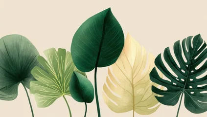 Fototapete Badezimmer A collection of tropical leaves in muted greens, creams, and golds, set against a light beige background  © Dhyiana