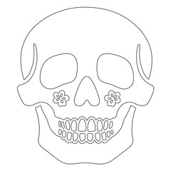 Minimalist Line Art of Human Skull – Black Outline Vector for Anatomy, Halloween, or Gothic Design