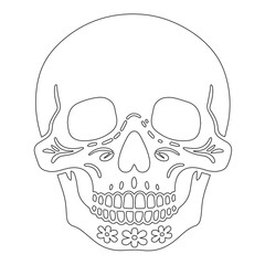 Minimalist Line Art of Human Skull – Black Outline Vector for Anatomy, Halloween, or Gothic Design