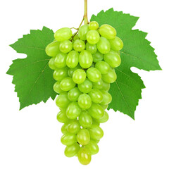 Obraz premium A plump bunch of green grapes attached to a stem with two vibrant green grapevine leaves
