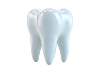 3D Render of a Single Human Tooth on Transparent Background