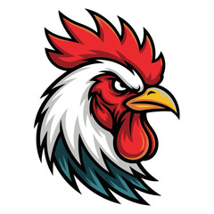 rooster isolated on white