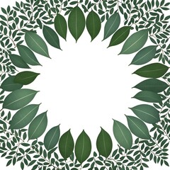 eucalyptus leaves illustration circle with copy space  in center perfect for text 