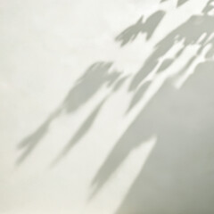 Obraz premium shadow wall