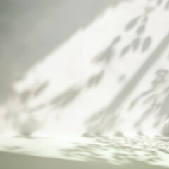 Obraz premium shadow wall