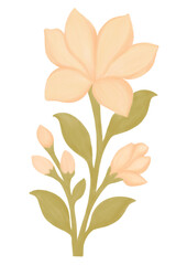 Flower watercolor clipart