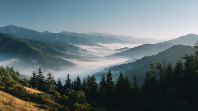 Morning fog filling a mountain valley with layers of forested hills and evergreen trees under a clear sky. - Powered by Adobe