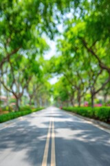 Obraz premium A blurred, sun-dappled road stretches into the distance, lined with trees forming a green tunnel against a bright sky