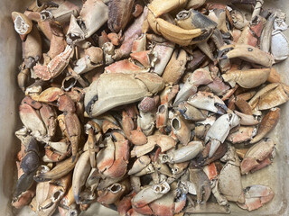 View of a tray full of multi-coloured crab claws