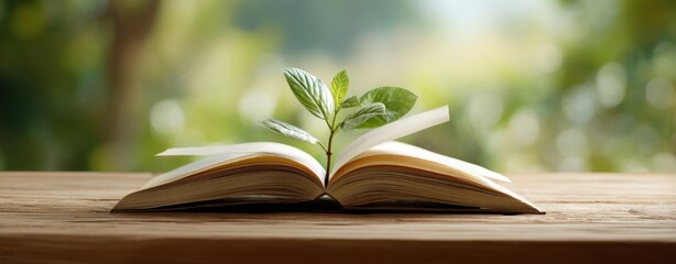 The open book sprouting leaves symbolizing knowledge and growth in nature.