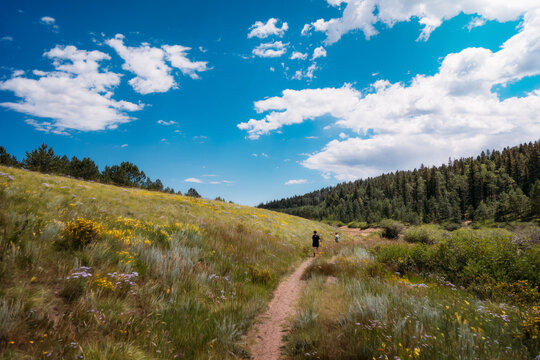 Two Boys Running along a trail with Wildflowers surrounding