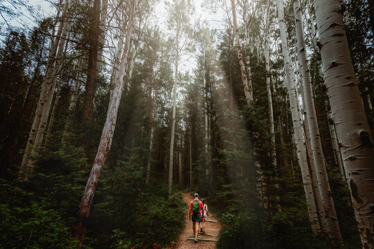 Father and Daughter Hiking on Trail with Aspen Trees
