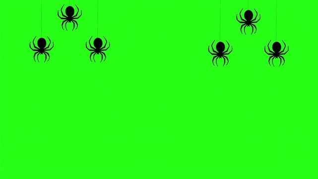 Stylized spooky spider silhouettes hanging and swinging against bright green screen animation