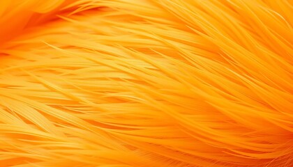 Soft, textured orange chicken feather background,  poultry,  bright