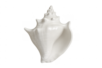 White conch shell isolated on transparent background exhibiting elegance and beauty