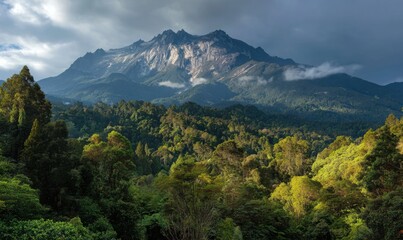 Lush mountain range with a peak under a cloudy sky