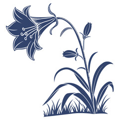 helenium chelsey on white background 