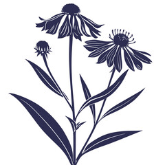 helenium chelsey with leaves