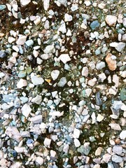Gravel background. Close up of stone texture. Abstract background for design.