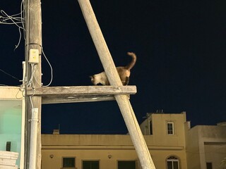 building under construction