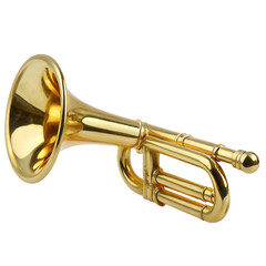 Gleaming golden brass musical instrument isolated on a transparent background trumpet