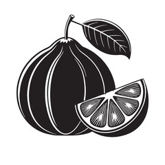 Black pummelo Silhouette Vector, High Quality Illustration on White Background