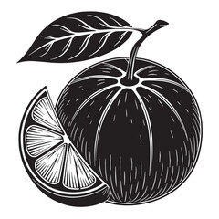 Black satsuma Silhouette Vector, High Quality Illustration on White Background