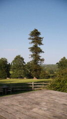 A landscape scene showcasing landscape, nature and forest.