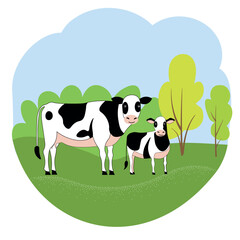 Cows graze in the meadow, the livestock of the village, on a dairy farm.