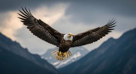 Obraz premium A majestic bald eagle soars with outstretched wings against a dramatic backdrop of dark mountains and cloudy skies.