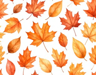 Colorful autumn leaves on a white background