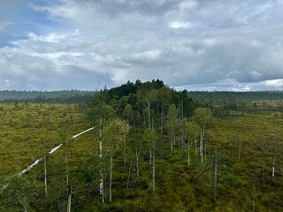 A raised bog landscape viewed from an observation tower, showing the transition between open bog vegetation and wooded bog islands; an excellent example of the mosaic structure of boreal peatlands