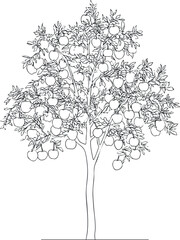 Black and white line drawing of an apple tree full of ripe apples on branches with leaves