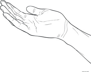 Line art illustration of an open human hand palm facing upward isolated on white background with detailed finger outlines